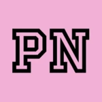 Logo of PINK Nation android Application 